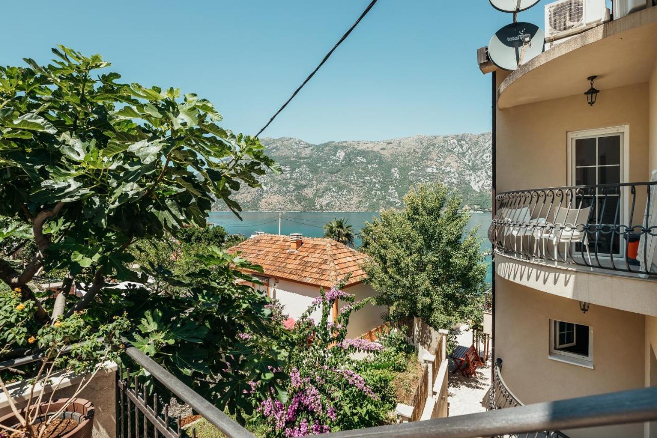 Apartments Cosovic Kotor Eksteriør bilde